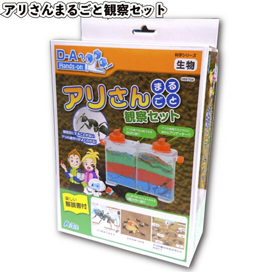 【アリさんまるごと観察セット】景品 化学 理科 自由研究 実験 教育