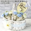 【プランタンスィーニー耳かき30本セット　バスケット付】景品 粗品 結婚式 花束 耳掃除 プチギフト 02P18Jun16