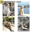 【送料無料】【猫日和　クリーナークロス　240個セット】景品 粗品 スマホ タブレット メガネ拭き