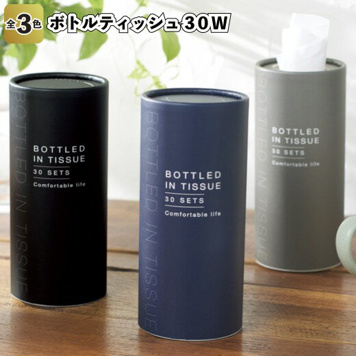 【送料無料】【ミニボトルティッシュ30W 120個セット】景品 粗品 プチギフト ノベルティー 車 詰め替え