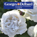 予約送料無料【パブロワ 長尺7号 大苗】鉢植え バラ 薔薇 デルバール 大苗 フレンチローズ 7号鉢 7寸