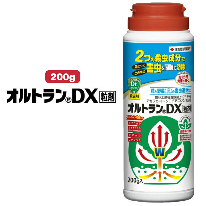 送料無料【オルトランDX粒剤】バラ 薔薇 効く 害虫 コガネムシ アブラムシ ハダニ チュウレンハバチ ア..