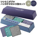 【いいとこダブル ハンカチタオル3枚セット】タオル ハンカチ 景品 粗品 プチギフト 記念品 プレゼント ノベルティ 二次会 卒業 入学 退職 転勤 異動 挨拶...