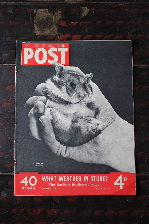 アメリカのLIFE誌と並びフォトジャーナリズム の先駆けとなったイギリスのライフマガジン「PICTURE POST」1938年創刊-1957年廃刊 第二次大戦から戦後の暮らし、歴史的瞬間を一流写真家の 写真で紹介した希少なマガジン。歴史、当時の暮らしぶりを視覚で理解する希少な資料です。 1949年2月5日号 WHAT WEATHER IN STORE?　40ページ 年代物の為、落丁はございませんがホチキス針の錆によるページ外れ、小さな破れ、変色、シミ、汚れがございます。予めご了承下さい。 ・サイズ：25.5cm × 33.5cm