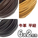 革ひも 牛革 革紐 幅6mmX厚さ2mm 平紐