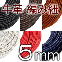 v ҂ݕR 5mm Z҂ ەR 1mP vЂ 蔄 5.0mm vR Ђ R U[R[h ҕRy[։z