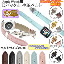 AppleWatch p vxg DobN {v v n 22mm Series 7/6/5/4/3/2/1/0/SE 38mm 40mm 41mm 42mm 44mm 45mm voh Y fB[X rvxg