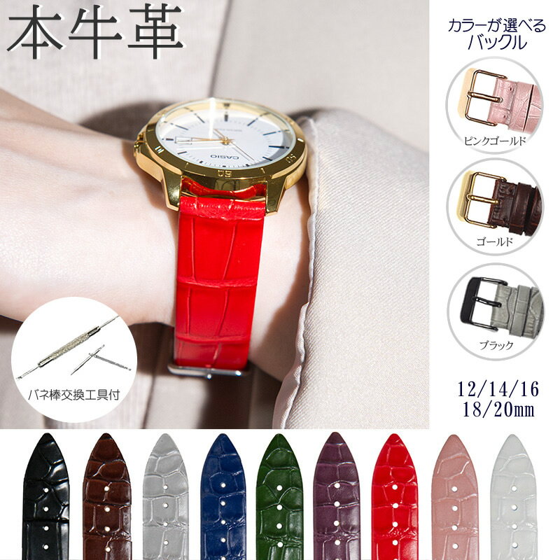 Rakuten - 腕時計ベルト 本革 牛革 クロコ型押し 薄め バネ棒・交換工具付 時計バンド 12mm 14mm 16mm 18mm 20mm メンズ レディース