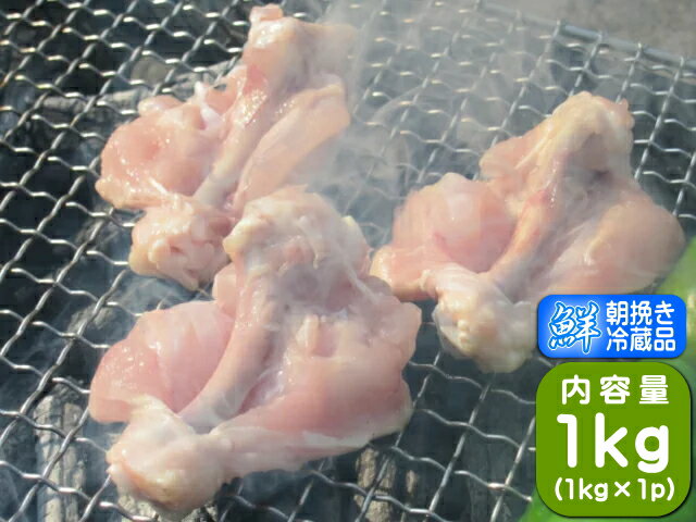 香川県産 国産 さぬき匠の若どり 手羽元 鶏肉 骨付き手羽元 開き 1kg