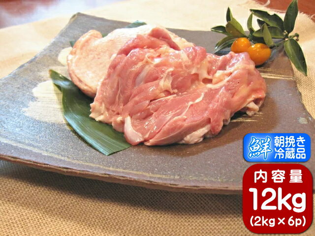 鶏もも 肉 大容量 2kg とりもも 鶏モモ 鶏肉　チキン ブラジル産【冷凍のみ】