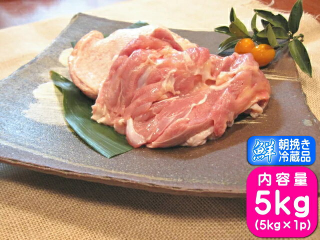 もも肉 国産 鶏肉 業務用 香川県産 新鮮鶏肉 健味鳥の朝挽き発送 発送日に製造した商品をお届けします 健味鳥 若鶏もも肉 特大サイズ 5kg  「かわいい～！」