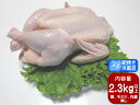 【香川県産 さぬき匠の若どり】 若鶏丸一羽・丸鳥（中〜大） 　約2.3kg