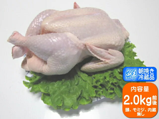 【香川県産 さぬき匠の若どり】 若鶏丸一羽・丸鳥（小） 　約2.0kg前後