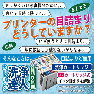 【ラッキーシール対応】洗浄　キヤノンプリンター目詰まりBCI325/326　洗浄液 ヘッドクリーニングと選べるインクが1本　superInk