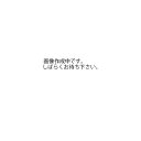 バッテリー強化剤 300ml ピットワーク KA570-30092