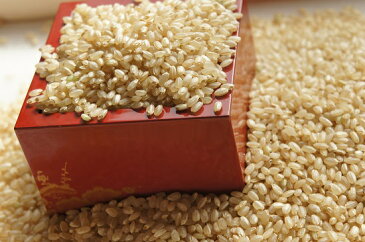 手づくり全粒発芽玄米2キロ 低糖質GI値54 未精白全粒で食物繊維白米の4倍以上 腸内フローラを整える 準無農薬 白米に混ぜそのまま炊ける無洗米 手選別の精選品 送料無料 深山の岩清水仕込み・・・・・・・・・・スタリオン日田