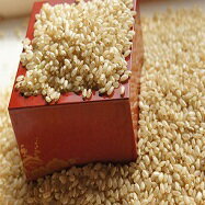 発芽玄米全粒4キロ 白米に2,3割入れておいしく炊ける 腸活で免疫力・腸美人 栄養の表皮丸ごと 無精白の全粒はここだけ 便秘に食物繊維 発芽で栄養素倍増・食物繊...