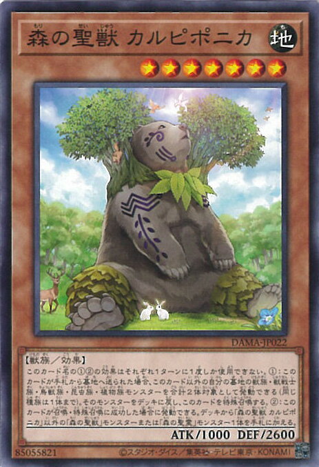 ƥåREIKODO㤨ͷ  ԥݥ˥ DAMA-JP022 Ρޥ DAWN OF MAJESTY 󥰥륫ɡפβǤʤ20ߤˤʤޤ