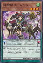 yÁzVY JtZ[x yDAMA-JP030 m[}Az DAWN OF MAJESTY VOJ[h