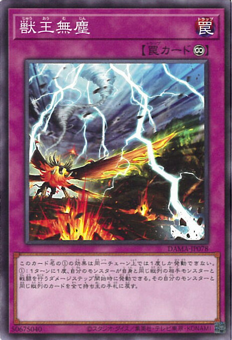 ƥåREIKODO㤨ͷ ò̵ DAMA-JP078 Ρޥ DAWN OF MAJESTY 󥰥륫ɡפβǤʤ20ߤˤʤޤ