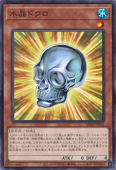 šͷ 徽ɥ AC02-JP022 Ρޥ ANIMATION CHRONICLE 2022 󥰥륫