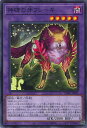 【中古】遊戯王 神碑の牙フレーキ 【DABL-JP041 ノーマル】 DARKWING BLAST シングルカード