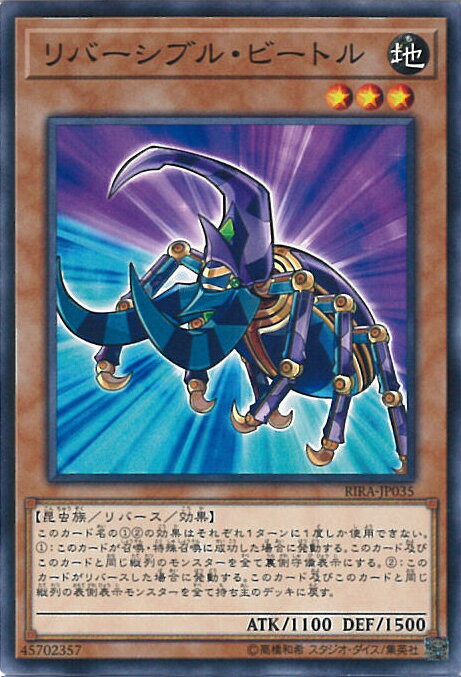 šͷ С֥롦ӡȥ RIRA-JP035 Ρޥ RISING RAMPAGE 󥰥륫