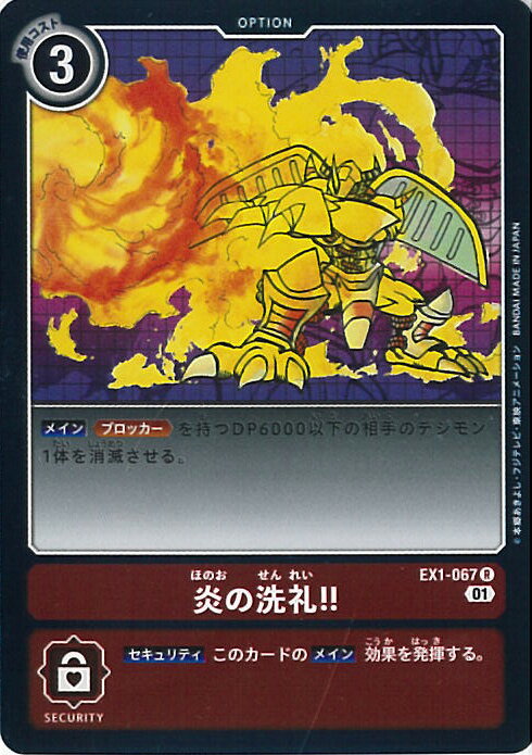 šۥǥ󥫡ɥ !!B󥯡 EX1-067 R 饷å쥯 󥰥륫