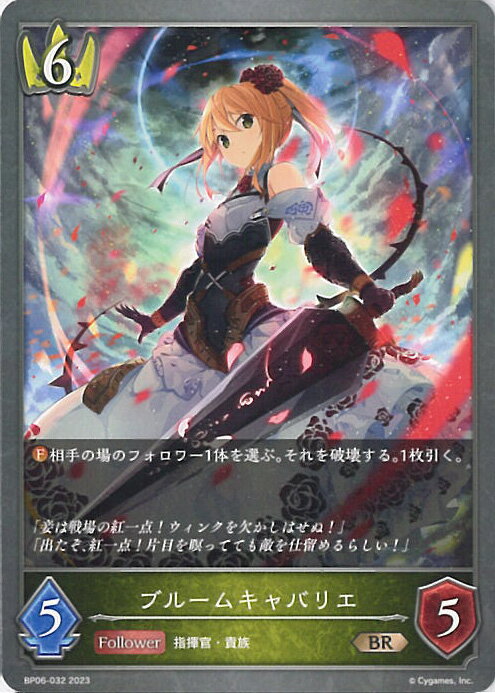 ƥåREIKODO㤨֡šۥɥС ܥ ֥롼७Хꥨ BP06-032 BR ФʤƼ 󥰥륫ɡפβǤʤ20ߤˤʤޤ