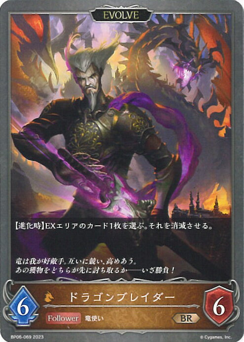 ƥåREIKODO㤨֡šۥɥС ܥ ɥ饴֥쥤A󥯡 BP06-069 BR ФʤƼ 󥰥륫ɡפβǤʤ20ߤˤʤޤ