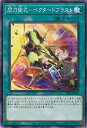 yÁzVY Mp|xN^[huXg ySLF1-JP053 m[}z SELECTION5 VOJ[h