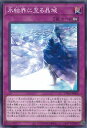 遊戯王 氷結界に至る晶域 【TW01-JP004 ノーマル】 TERMINAL WORLD シングルカード