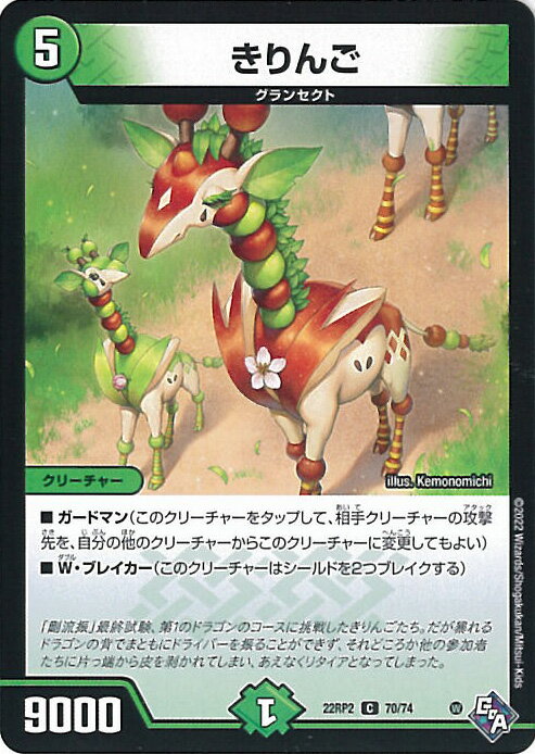 šۥǥ奨롦ޥ  DM22-RP2 70/74  åɡ֡ӥ2 ε 󥰥륫