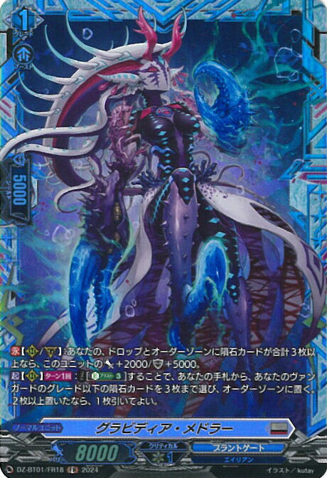 󥬡 ӥǥɥ顼 DZ-BT01/FR18 FR ̿ 󥰥륫