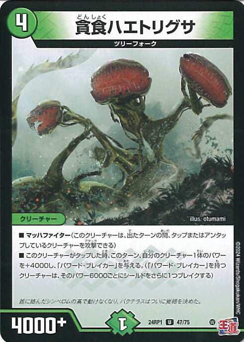 ƥåREIKODO㤨֥ǥ奨롦ޥ ſϥȥꥰ DM24-RP1 47/75 󥳥 ǡ󡦥֡ϥѡࡼ 󥰥륫ɡפβǤʤ20ߤˤʤޤ