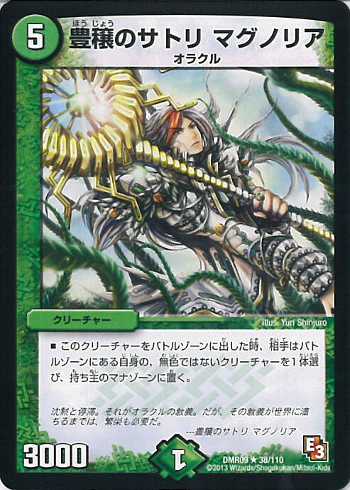 ǥ奨롦ޥ ˭Υȥ ޥΥꥢ DMR09 38/110 쥢 쥤VSå 󥰥륫