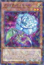 遊戯王 ブリリアント・ローズ 【TW02-JP054 ノーマルパラレル】 TERMINAL WORLD 2 シングルカード