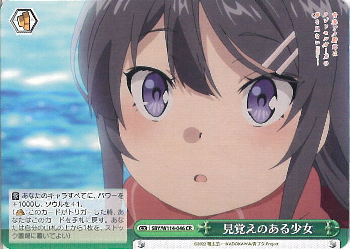 ƥåREIKODO㤨֥ ФΤ뾯 SBY/W114-046 CR Ľե֥Ϻ٥꡼ 󥰥륫ɡפβǤʤ20ߤˤʤޤ