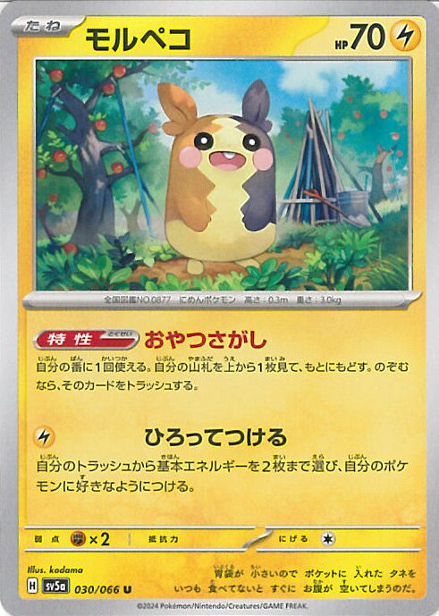 楽天市場】ポケモン カード モルペコの通販 楽天市場】ポケモン カード モルペコの通販
