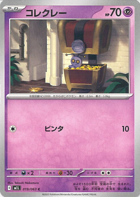 ݥ󥫡ɥ 쥯졼 M1L 019 / 063 C ĥѥå ᥬ֥쥤 󥰥륫