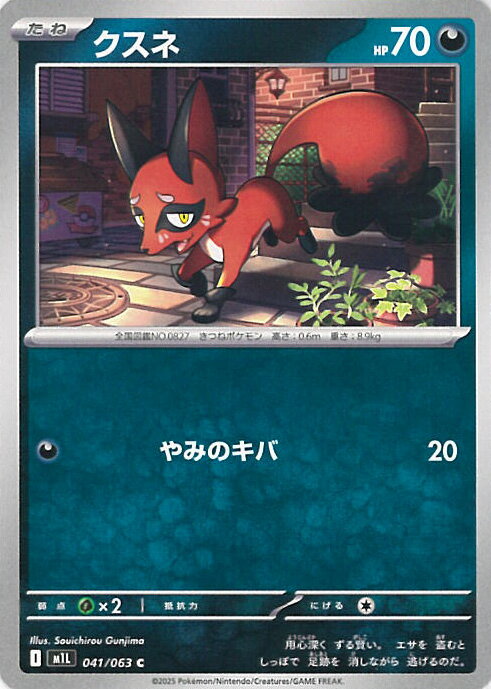 ݥ󥫡ɥ  M1L 041 / 063 C ĥѥå ᥬ֥쥤 󥰥륫