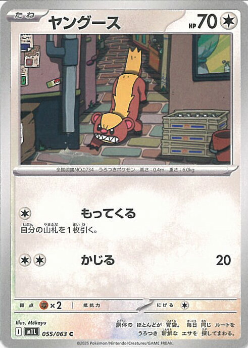 ݥ󥫡ɥ 󥰡 M1L 055 / 063 C ĥѥå ᥬ֥쥤 󥰥륫