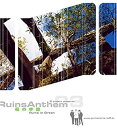 【中古】DVD 廃墟賛歌 萌の季節 Ruins in Green/IF-8009