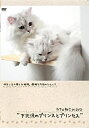 【中古】DVD カフェねこonDVD 下北沢のプリンスとプリンセス/TACAT-10