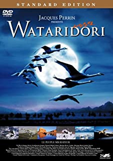 【中古】DVD WATARIDORI スタンダード・エディション/GNBF-7259