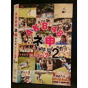 ○007399 レンタルUP■DVD ABK48 ネ申テレビ シーズン7 2nd 80186 ※ケース無