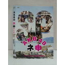 ○011210 レンタルUP★DVD AKB48 ネ申テレビ SP2011 〜オーストラリアの秘宝を探せ!〜 80184 ※ケース無