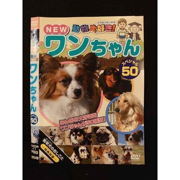 ○011425 レンタルUP◇DVD NEW 動物大好き！ ワンちゃん スペシャル50 11 ※ケース無