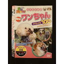 ○011425 レンタルUP◇DVD 動物大好き! ハイビジョン NEW ワンちゃん スペシャル100 103 ※ケース無