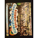○010632 レンタルUP#DVD アンタッチャブル山崎弘也とゆかいな仲間たち 10007 ※ケース無